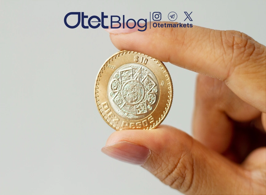 ما هي عملة الريبل (XRP)؟