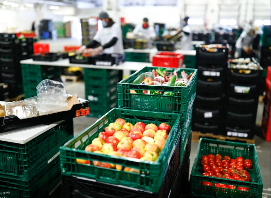 أسعار الجملة في ألمانيا تواصل الارتفاع للشهر الحادي عشر