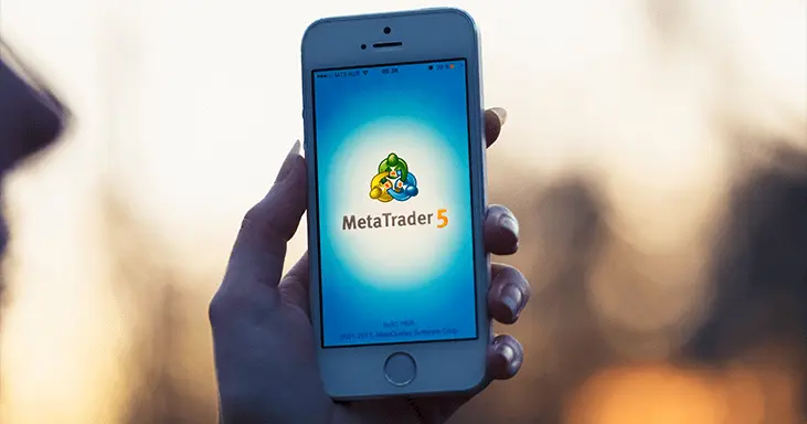 أنواع حسابات MetaTrader 5 الأكثر شيوعًا