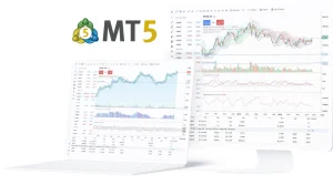 خطوات استعادة كلمة المرور لحساب MetaTrader 5